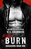 Slow Burn: A Bad Boy Romance (Assassins Book 1)