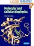 Molecular and Cellular Biophysics