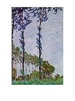 Especial Arte Lienzo Poplars (Wind_effect) Multicolor