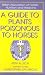 A Guide to Plants Poisonous to Horses (British Association of Holistic Nutrition)