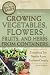 The Complete Guide to Growing Vegetables, Flowers, and Herbs from Containers: Everything You Need to Know Explained Simply (Back-To-Basics) (Back to Basics Gardening) (Back to Basics Growing)