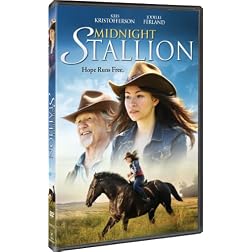 Midnight Stallion