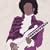 Controversy: A Tribute to Prince