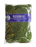 Super Moss