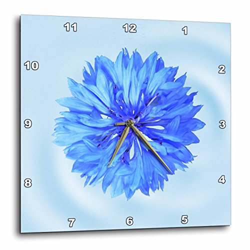 Top 18 Best Pretty Cool Wall Clock That You Will Ever See BOOMSbeat