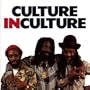 Culture in Culture