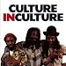 Culture in Culture