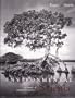 Environmental Science: Study Of Interrelationship