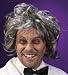 Mad Scientist Wig
