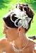 IVORY Bridal Feather Hair Fascinator