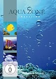 Wellness & Harmony: Aqua Zone: Aquarium