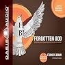 Forgotten God: Remembering Our Crucial Need for the Holy Spirit
