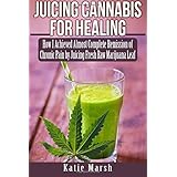 juicing cannabis for healing how i achieved almost complete remission of chronic pain by juicing fresh raw marijuana