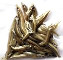 SANDEELS PRESERVED FISHING BAIT - APPROXIMATELY X20 FISH