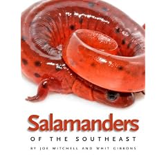 Salamanders of the Southeast (Wormsloe Foundation Nature Book)