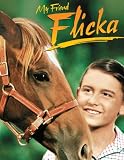 My Friend Flicka