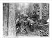 Historic Print (L): [Alaska]: Dyea Trail blocked by falling horse