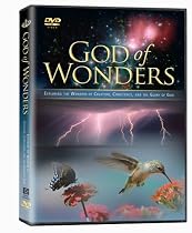 God of Wonders