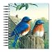 ECOeverywhere Morning Bluebirds Picture Photo Album, 18 Pages, Holds 72 Photos, 7.75 x 8.75 Inches, Multicolored (PA10918)