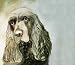 Spaniel Greeting Card