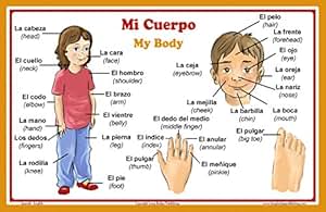 all parts of body in spanish