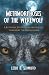 Metamorphoses Of The Werewolf: A Literary Study from Antiquity Through the Renaissance