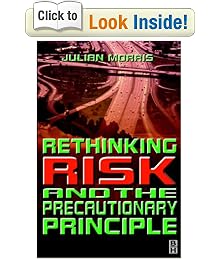Rethinking Risk and the Precautionary Principle