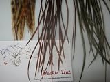 Granola Girl: 3 Feather Hair Extension Kit, Grizzly, Natural Olive, Brown Ginger