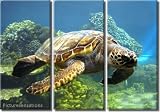 Framed Huge 3 Panel Art Underwater World Sea Turtle Giclee Canvas Print