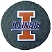 Illinois Fighting Illini Stepping Stone