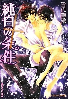 純白の条件 (B‐PRINCE文庫)