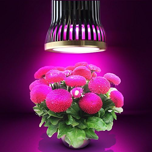 LUXINT LED COB E26 Spotlight 12w Hydroponic Plant Grow Lights Growing Lamp for Garden Greenhouse or Garden Horticultural Plants Quickly Grow Light (460nm Blue and 630nm-660nm Red)