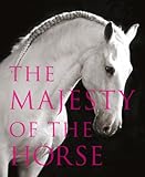 The majesty of the horse