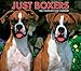 Just Boxers 2015 Box Calendar