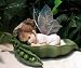 My Little Kitchen Fairies from Enesco My Little Sweet Pea Fairie Figurine 3 IN