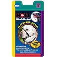 Coastal Holt Dog Walking Collar, Black, 3
