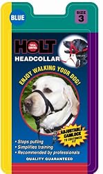 Coastal Holt Dog Walking Collar, Black, 2