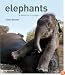 Elephants: A Book for Children