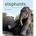 Elephants: A Book for Children