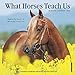 2016 What Horses Teach Us Mini Wall Calendar