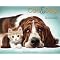Cats & Dogs . . in 2012 Calendars !