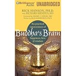 Buddha's Brain: The Practical Neuroscience of Happiness, Love & Wisdom | Rick Hanson,Richard Mendius