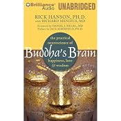 Buddha's Brain: The Practical Neuroscience of Happiness, Love & Wisdom | [Rick Hanson, Richard Mendius]