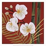 Sun Kissed II Finest LAMINATED Print Yvette St. Amant 20x20 Sun Kissed II Finest LAMINATED Print Yvette St. Amant 20x20