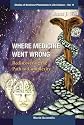 Where Medicine Went Wrong: Rediscovering the Path to Complexity (Studies of Nonlinear Phenomena in Life Science) (Studies of Nonlinear Phenomena in Life Science)