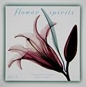 Flower Spirits 2010 Mini Wall Calendar (Calendar)