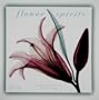 Flower Spirits 2010 Mini Wall Calendar (Calendar)