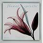 Flower Spirits 2010 Mini Wall Calendar (Calendar)