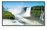NEC MultiSync P401-AVT - 40 Professional Series LCD TV - widescreen - 1080p (FullHD)