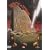 Monty Python's Der Sinn des Lebens (Einzel-DVD)